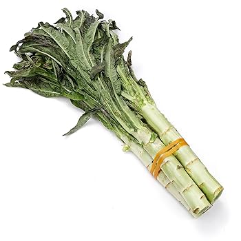 Élastique contact alimentaire