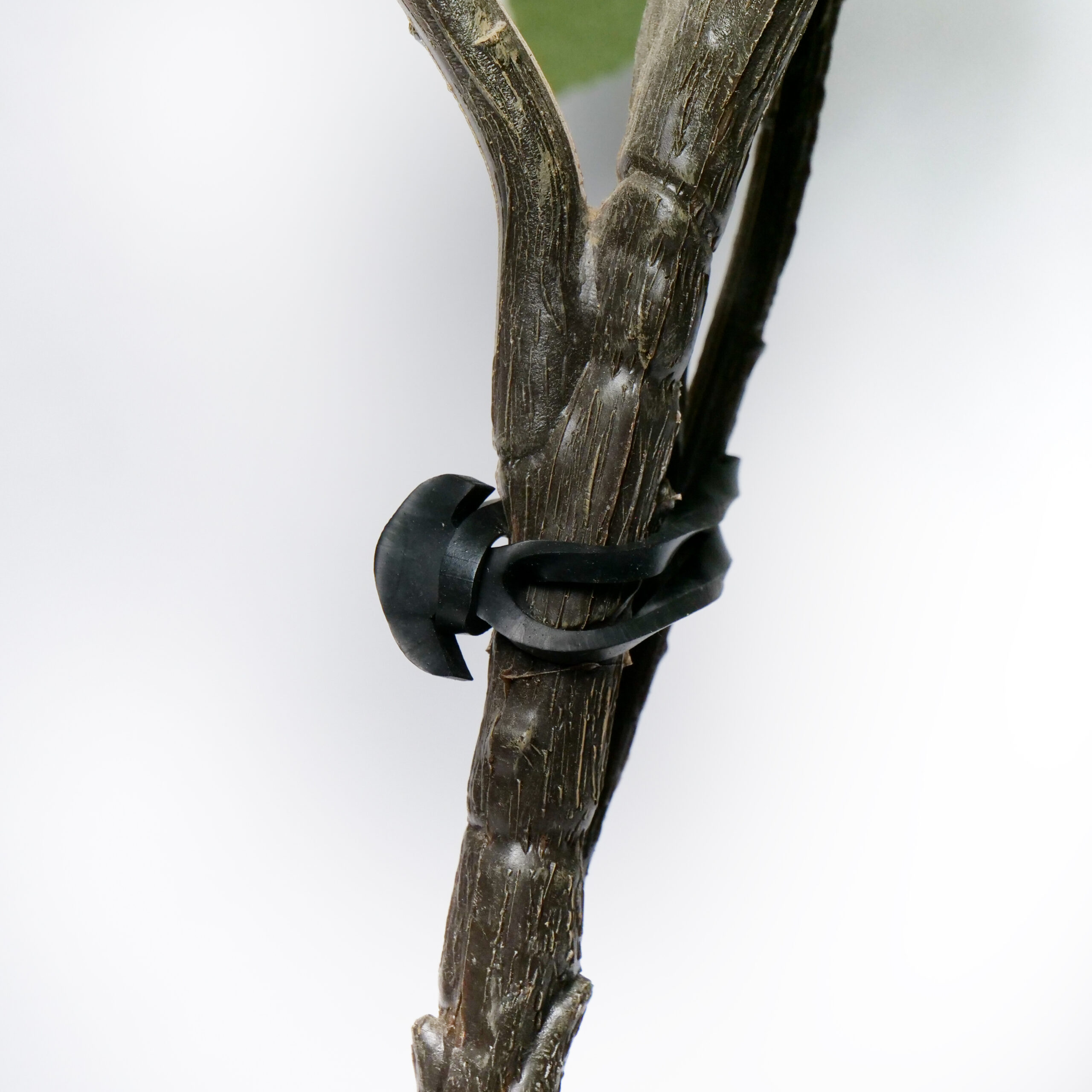 vignoble pic1 scaled 1